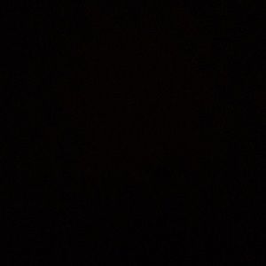 Meet your Posher, Evelyn